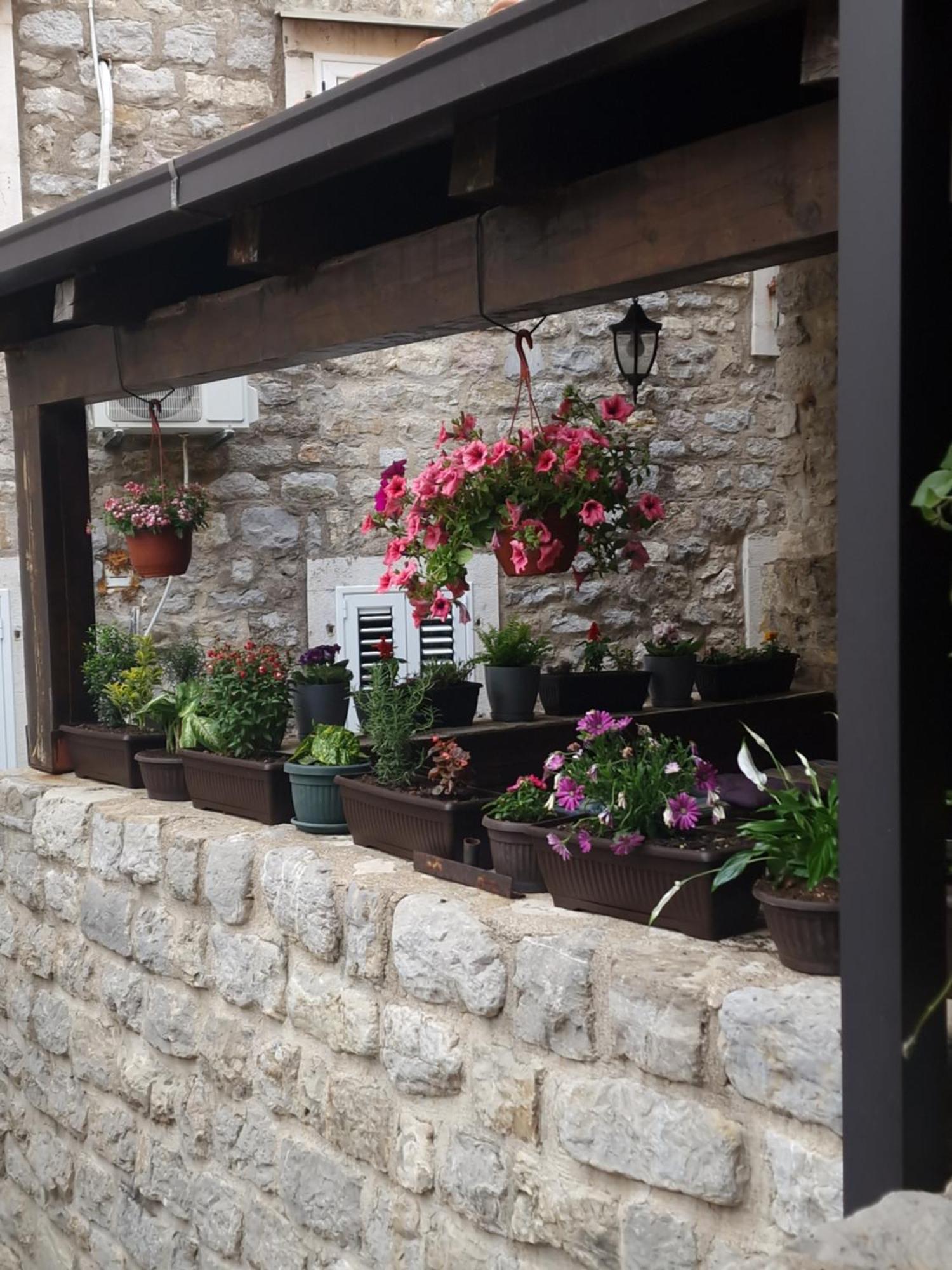 Rooms Dana Old Town Budva Ngoại thất bức ảnh